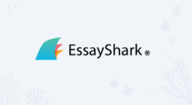 essay writing service